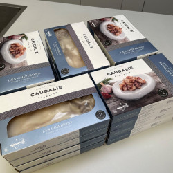 Les Chipirons de la Maison Caudalie - 20 x 400g